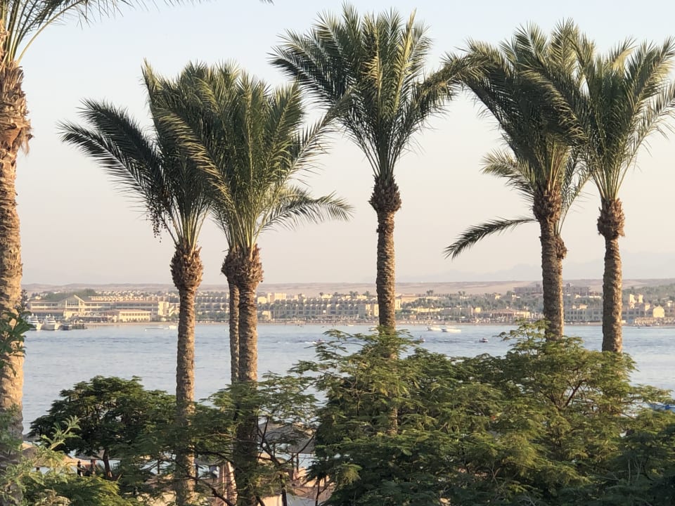 Außenansicht Grand Waterworld Makadi & Family Star Makadi