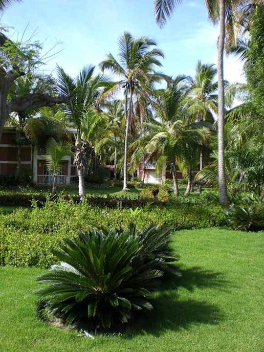 Sehr schöne Anlage Grand Palladium Select Bávaro Resort & Spa