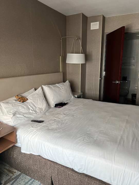 Zimmer Hilton Garden Inn New York Times Square South