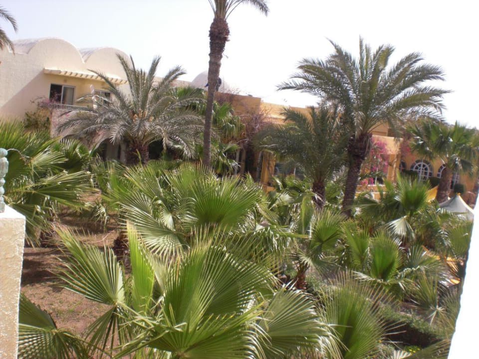 Unter Palmen The Ksar Djerba Charming Hotel & SPA