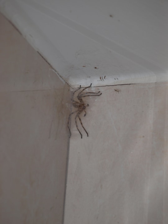 In der Dusche hinter dem Pool Ilios K Village Resort