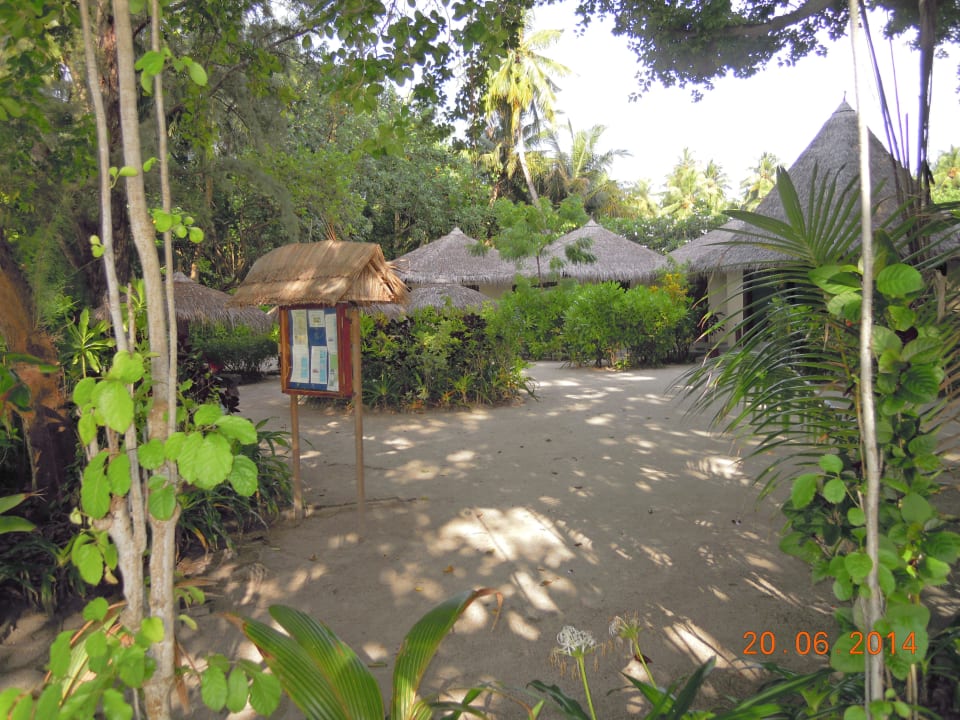 Biyadhoo Island Resort Biyadhoo Island Resort