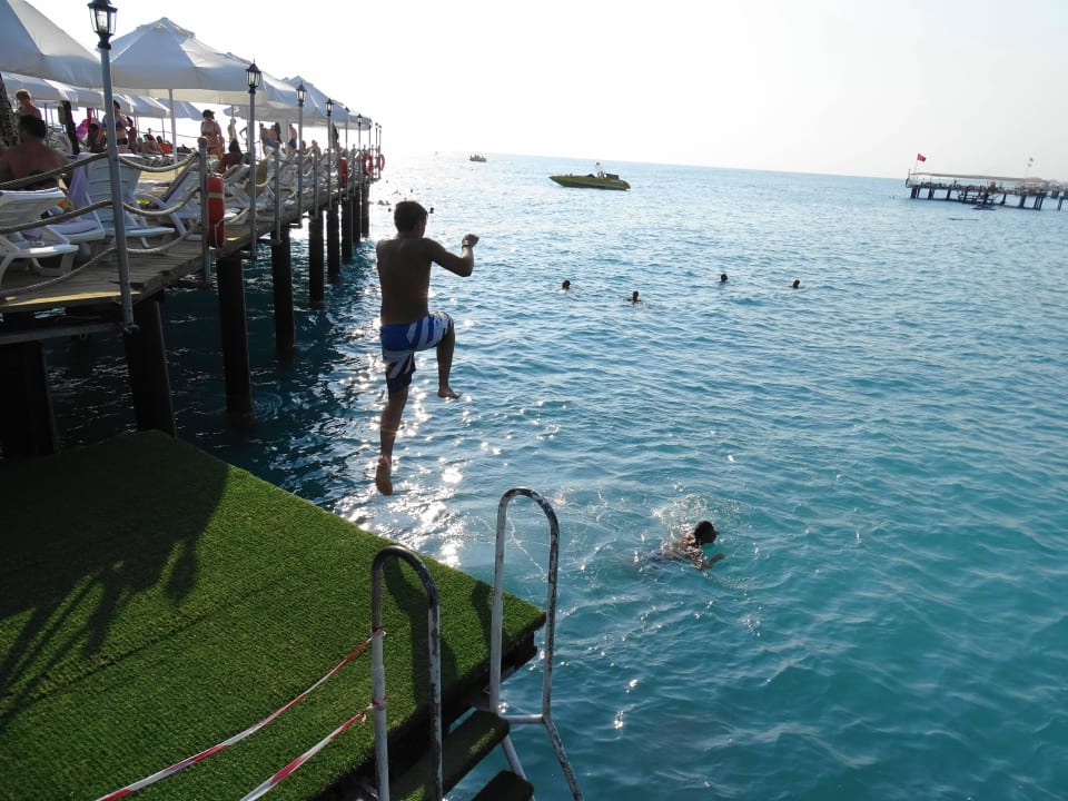 Plattfrom am Steg Botanik Hotel & Resort