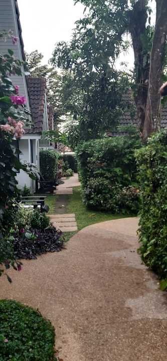 Zimmer Ocean Breeze Resort