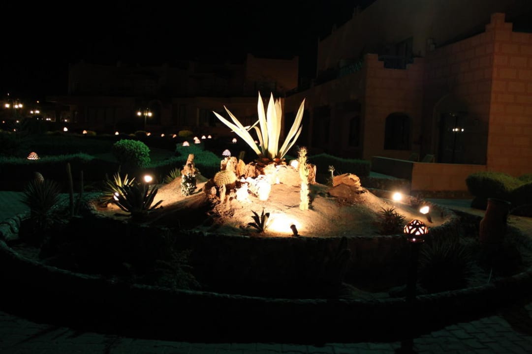 Kakteen bei Nacht Sentido Akassia Beach