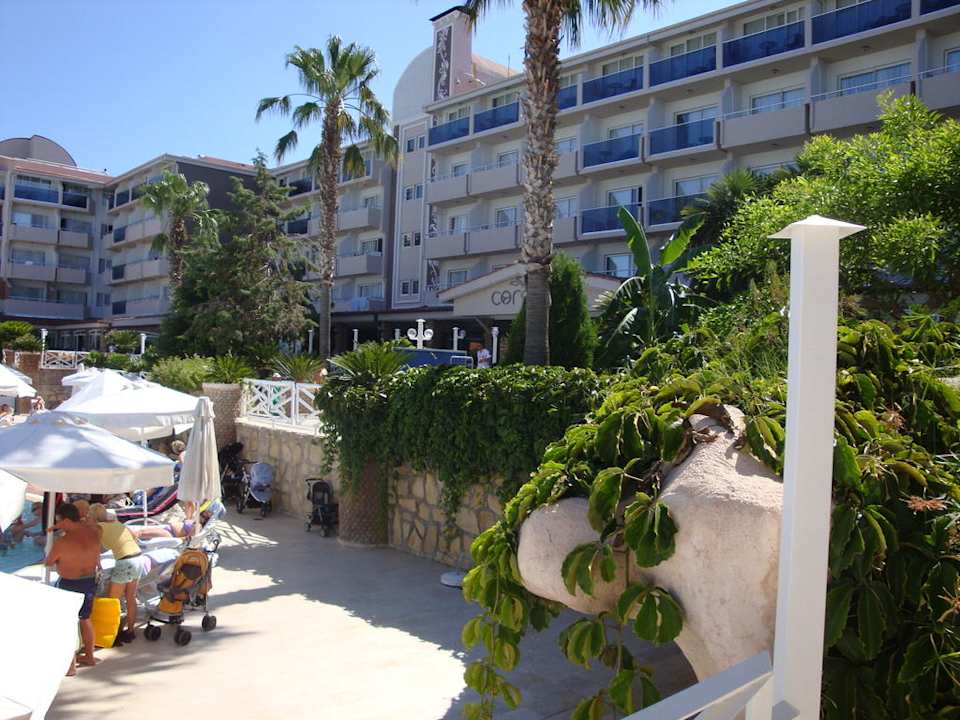 Am Pool Seaden Corolla Hotel