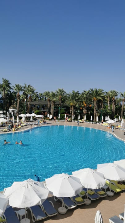 Pool Delphin Deluxe Resort