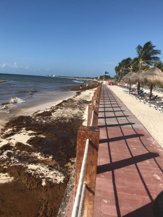 Strand H10 Ocean Maya Royale - Adults only