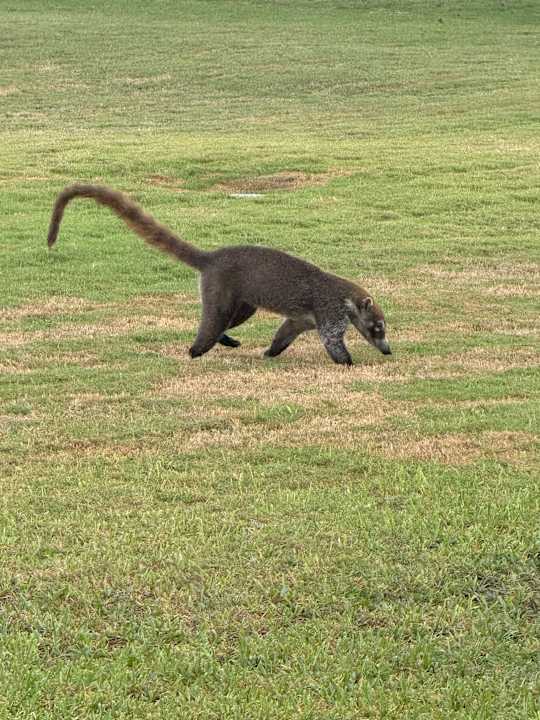 Sonstiges Hotel Riu Palace Mexico