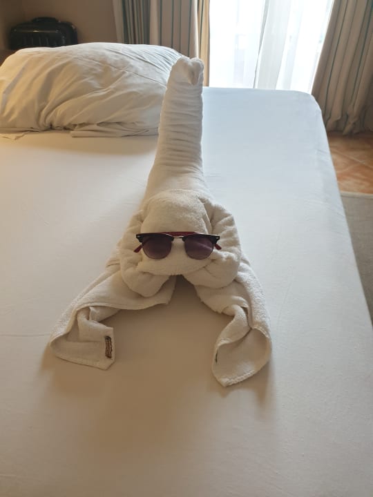 Zimmer Jaz Makadina