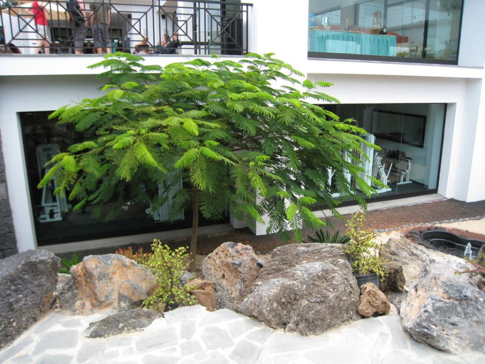 Fitnessstudio allsun App.-Hotel Albatros