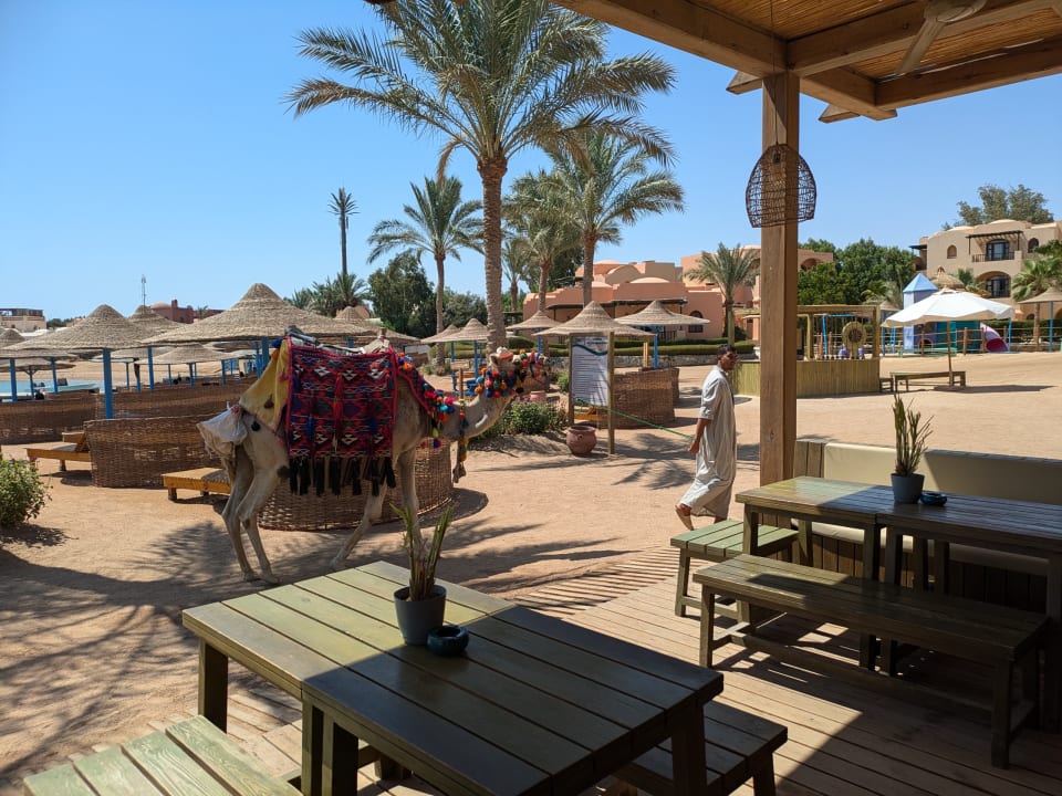 Strand Three Corners Rihana Resort Deluxe