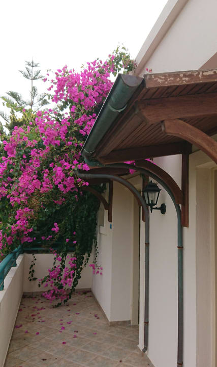 Zimmer Iberostar Selection Creta Marine