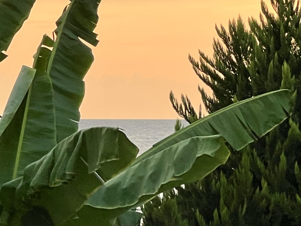 Gartenanlage Önder Yildiz Hotel