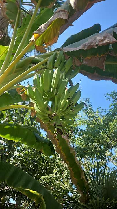 Gartenanlage Saphir Hotel & Villas