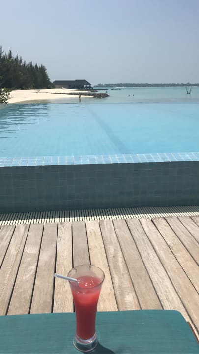 Pool Summer Island Maldives