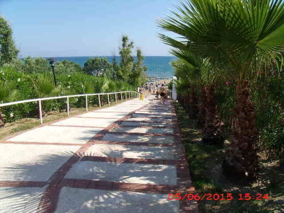 Etwas beschwerlich die letzten Meter zum Strand Alba Resort Hotel