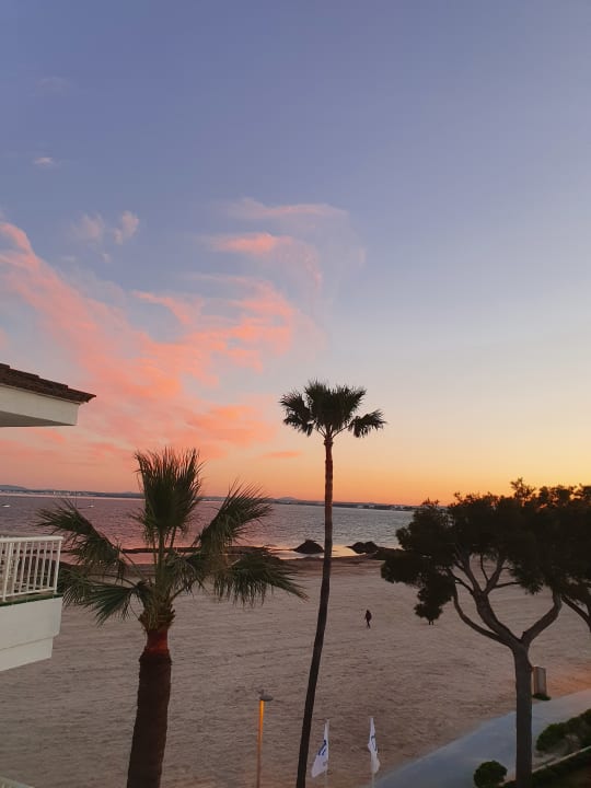 Ausblick Alcudia Garden Aparthotel