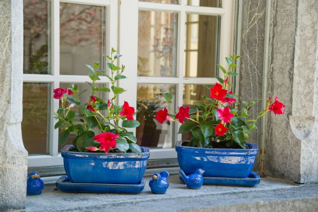 Details Hotel Schloss Ragaz