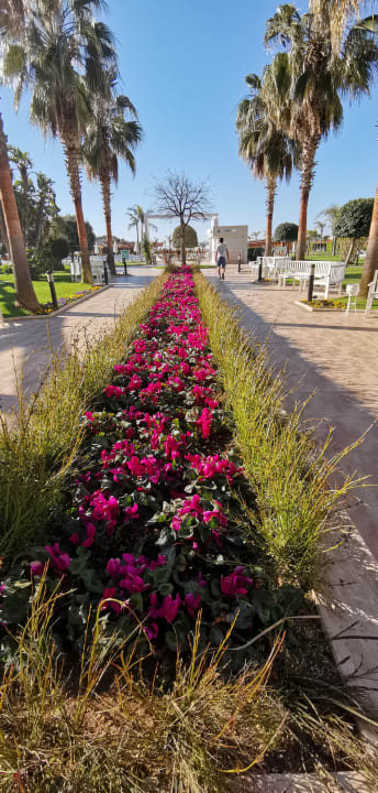 Gartenanlage Hotel Baia Lara