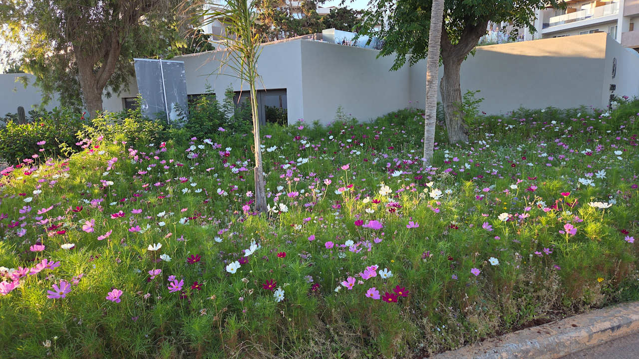 Gartenanlage Anissa Beach & Village