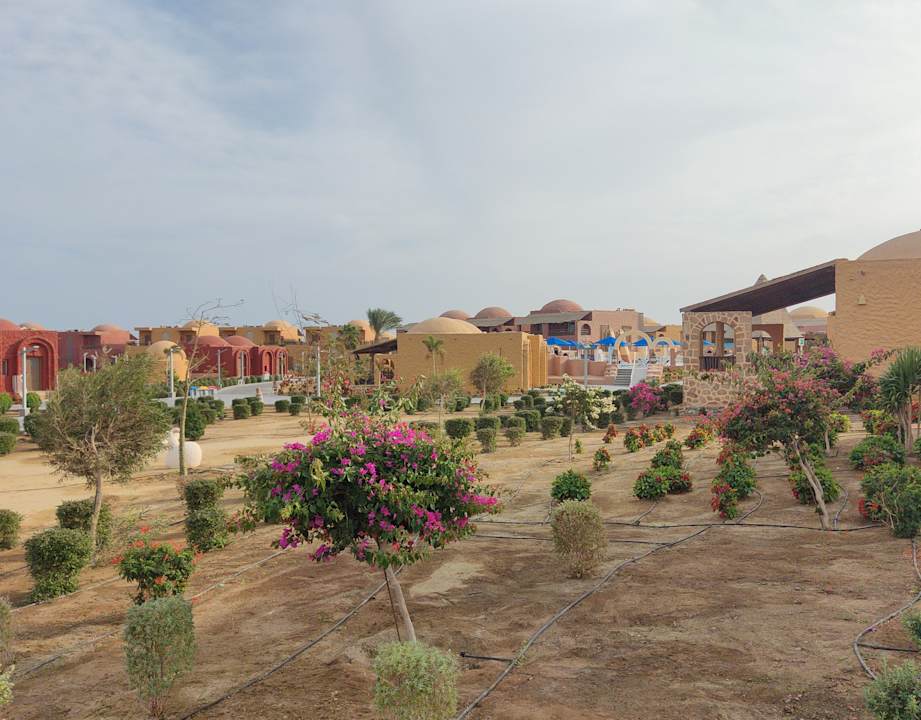 Gartenanlage Pickalbatros Villaggio Resort - Portofino