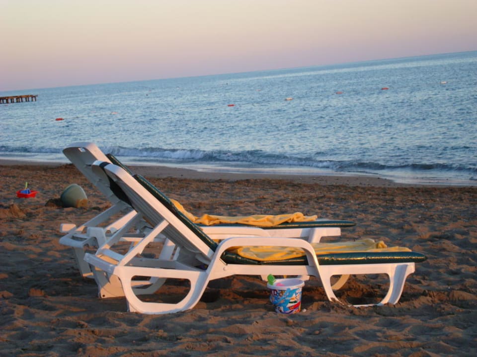 Idylle Papillon Belvil