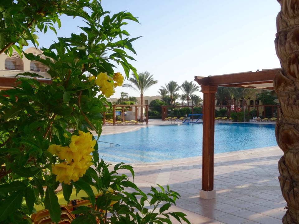 Pool Hotel JAZ Makadi Star & Spa