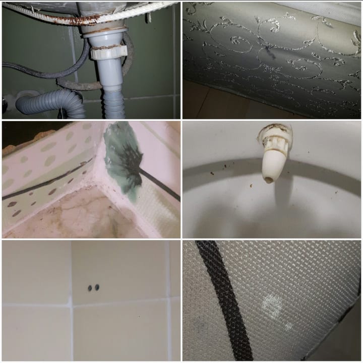 Zimmer Hotel Orfeus Park