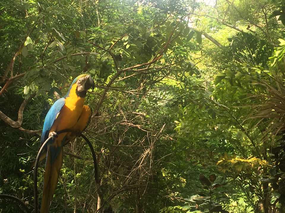 Sonstiges Villa Maria Tayrona, a Kali Hotels