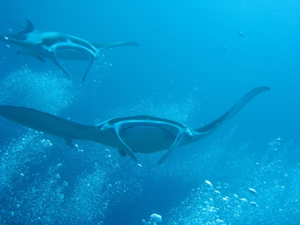 Mantas Thulhagiri Island Resort