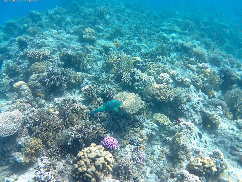 Sport & Freizeit Jaz Makadi Saraya Resort