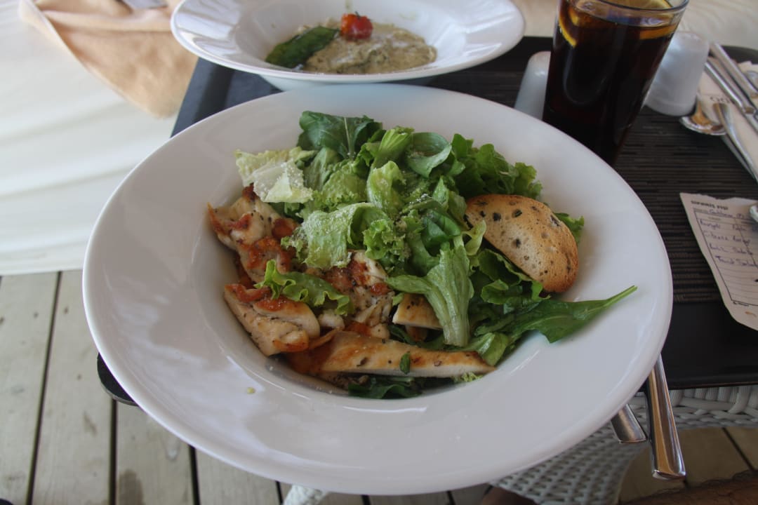 Lecker PALOMA Perissia