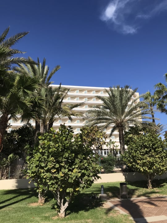 Gartenanlage Hotel Riu Oliva Beach - Hotel