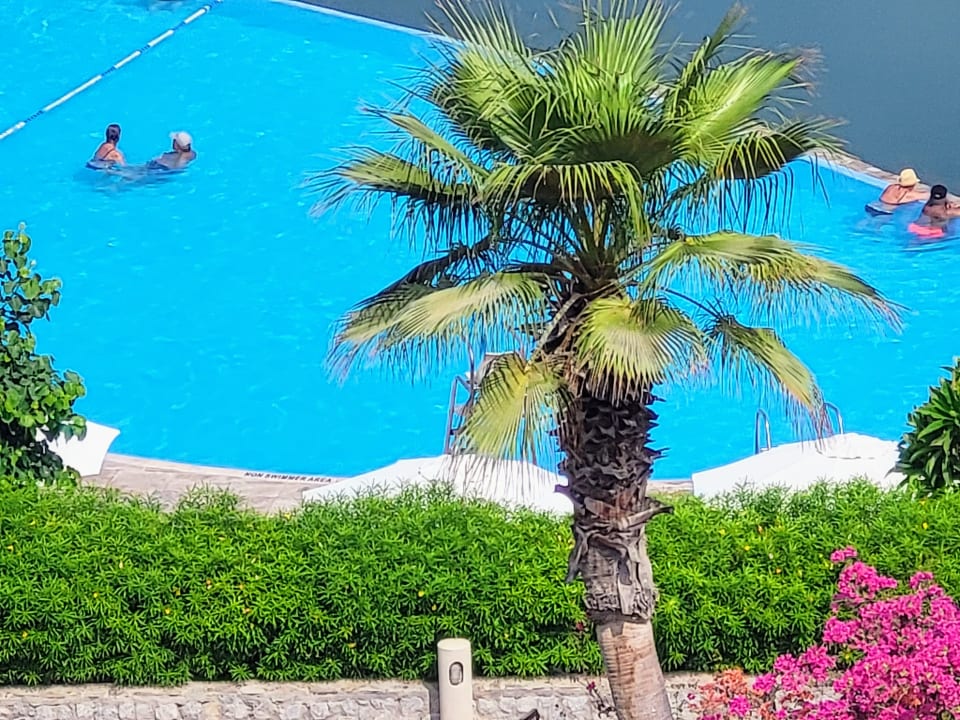 Pool The Cove Rotana Resort