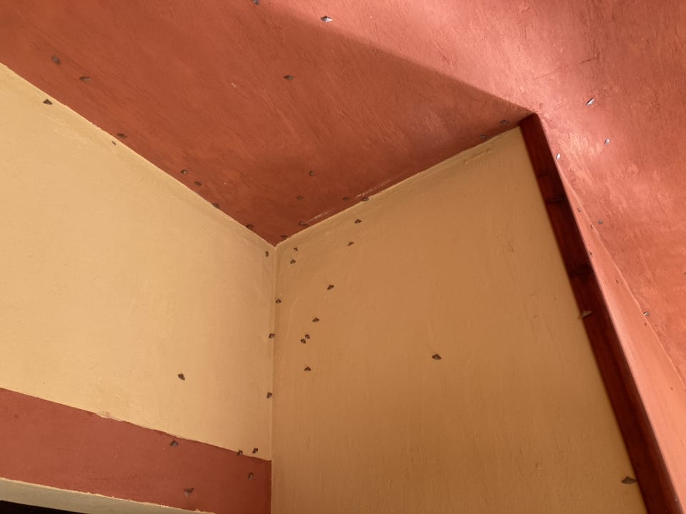 Zimmer Malikia Resort Abu Dabbab