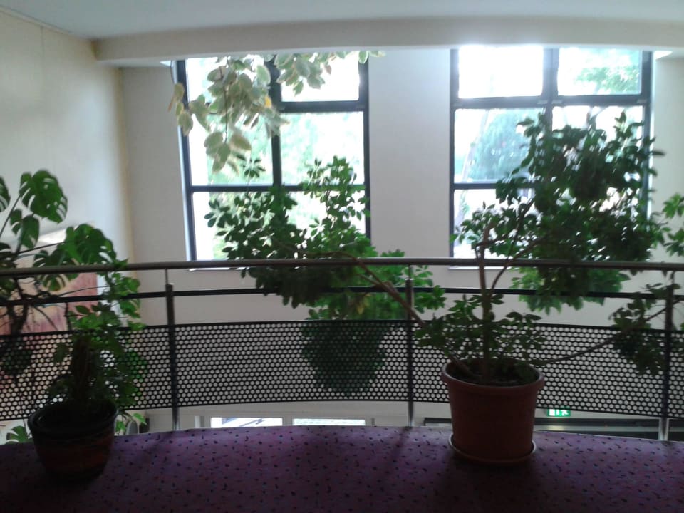 Flur im 1. OG Hotel Hiemann