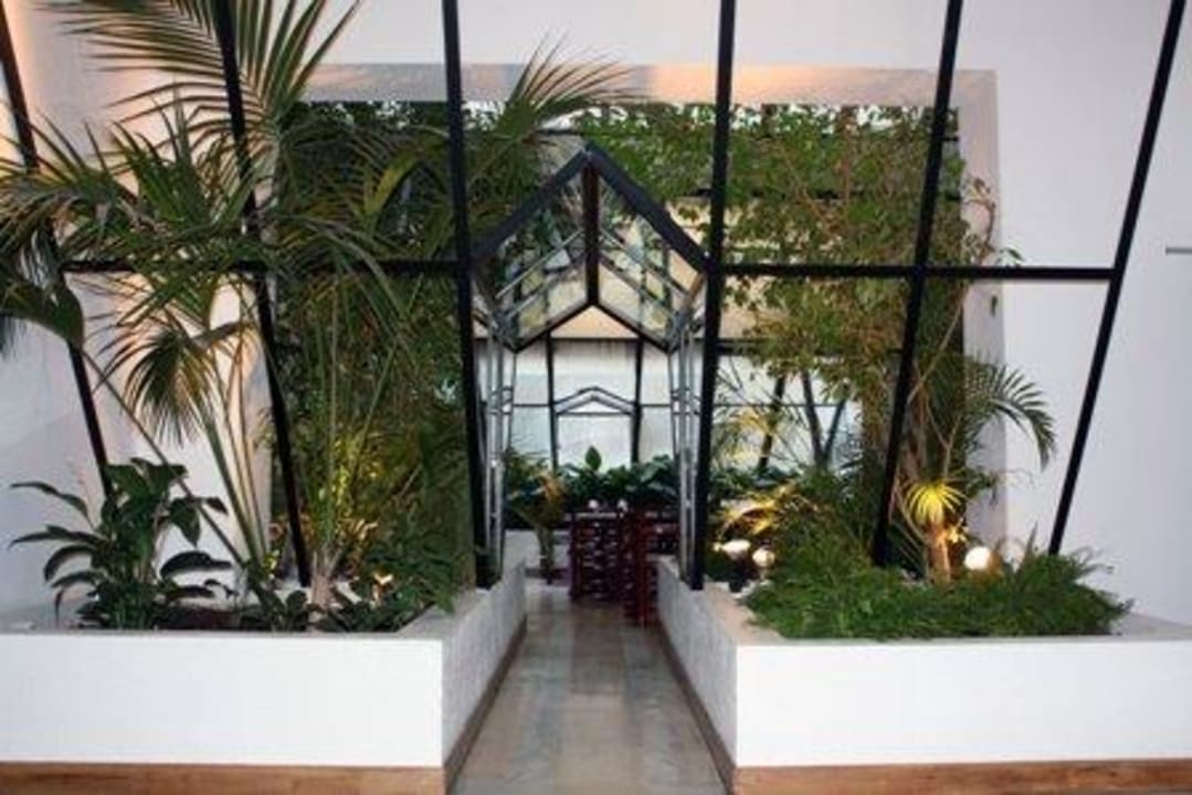 Jardin d'intérieur New Hotel Saint Charles New Hotel Saint Charles