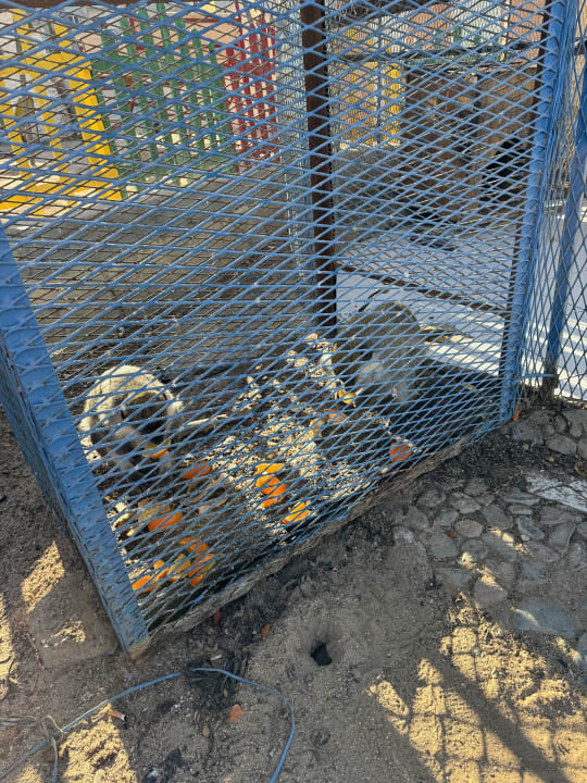 Sport & Freizeit King Tut Resort