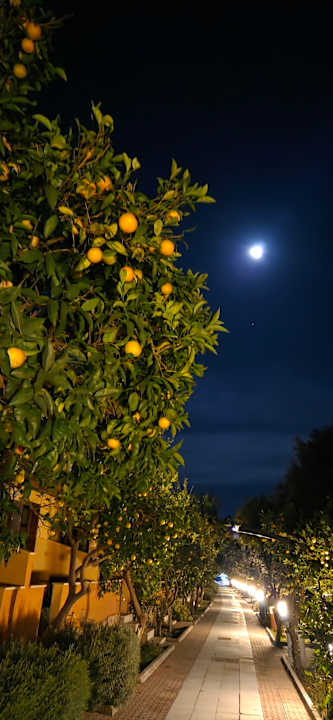 Außenansicht Özlem Garden Hotel