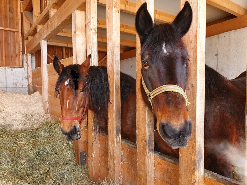 Sonstiges Sonnhof-Fankhauser