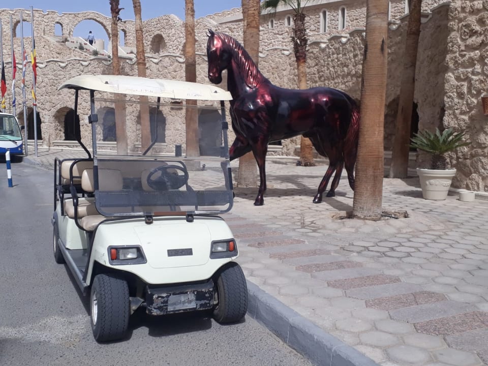 Sonstiges Pickalbatros Citadel Resort