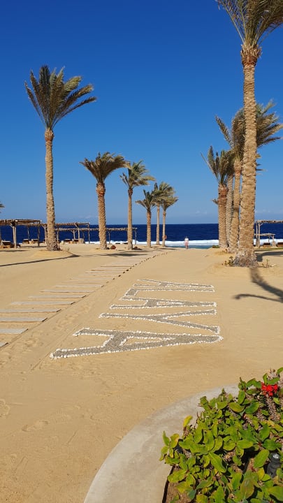 Strand Steigenberger Resort Alaya Marsa Alam - Red Sea - Adults only
