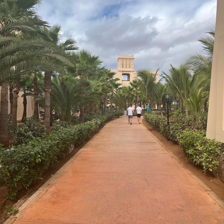 Gartenanlage Hotel Riu Touareg