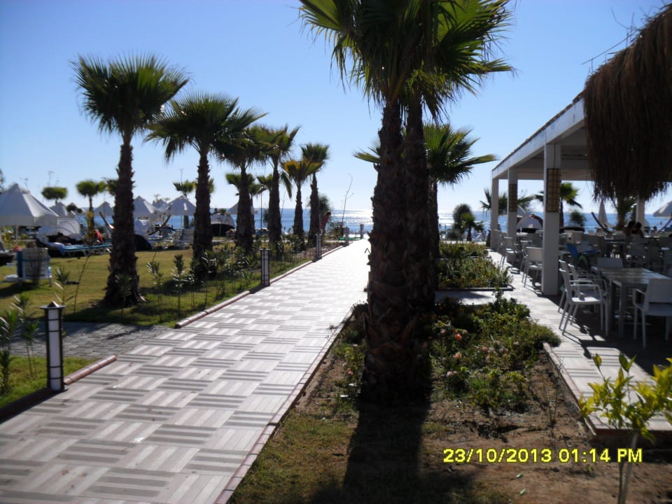 Weg zum Strand Sultan of Dreams Hotel & Spa