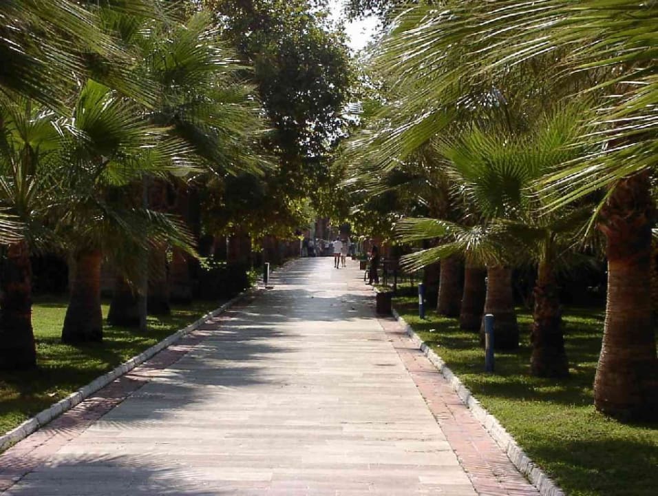 petro club 2003 VONRESORT Golden Beach