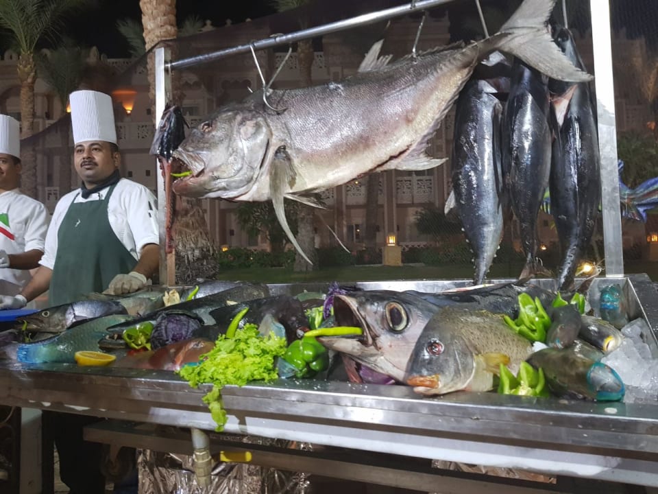 Gastro Pickalbatros Palace Resort