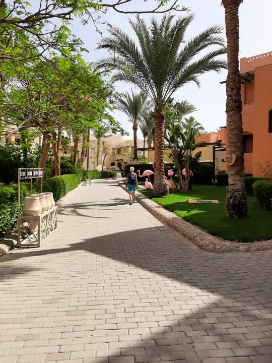 Gartenanlage Hotel JAZ Makadi Star & Spa