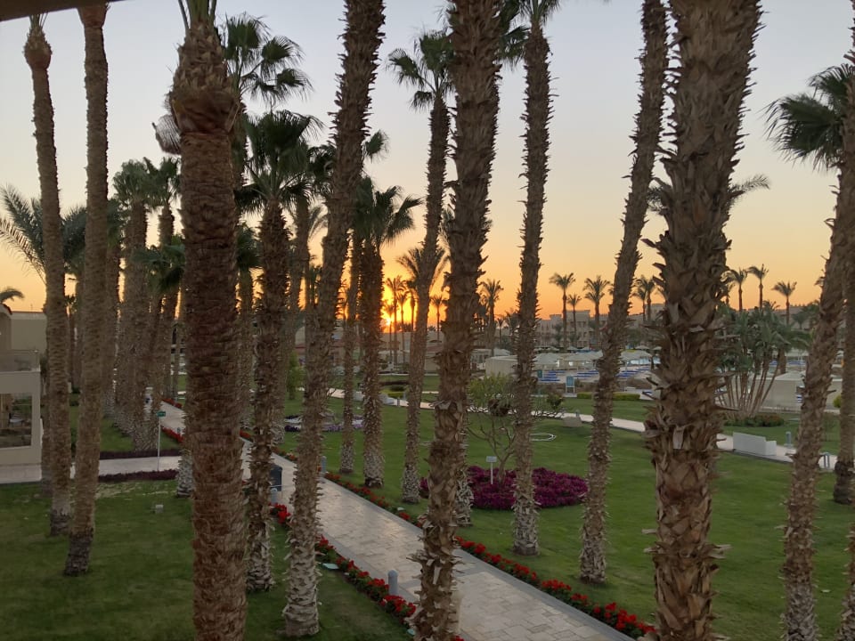 Gartenanlage Beach Albatros Resort