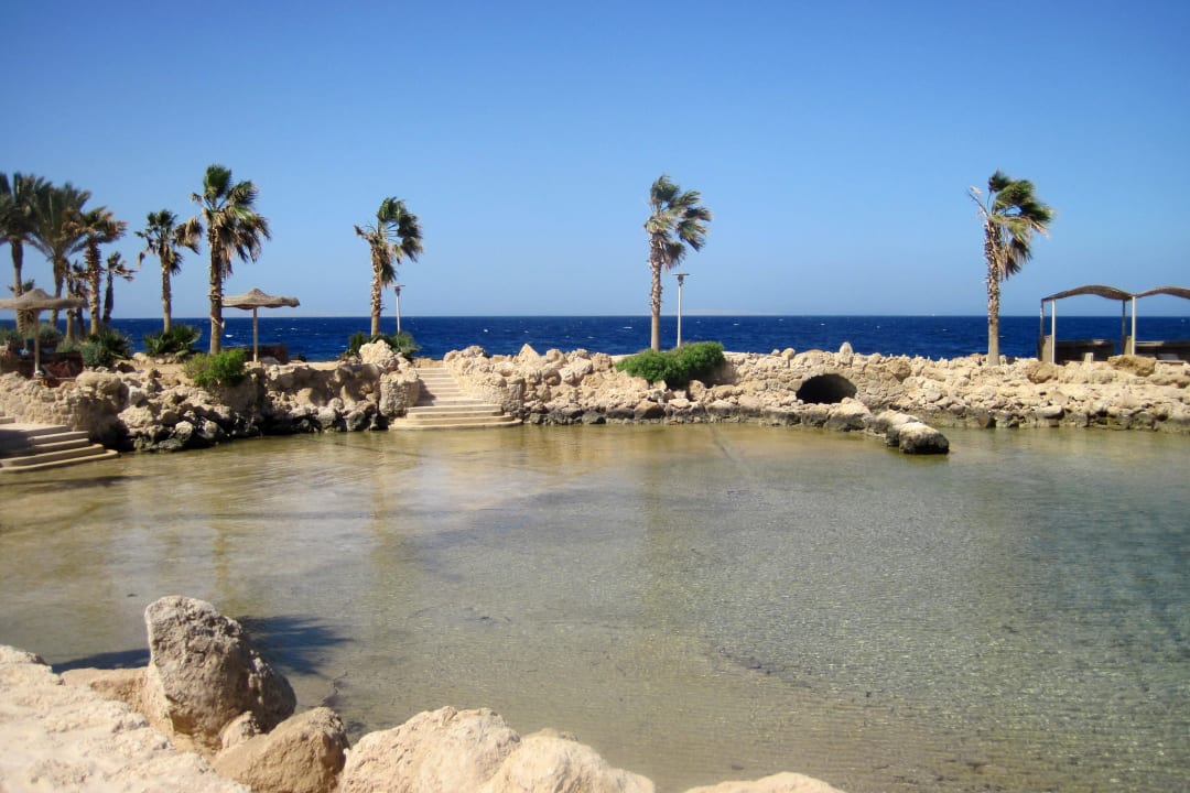 Linke Schwimmlagune Pickalbatros Citadel Resort